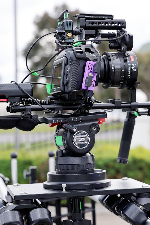 pexels-photo-28532578